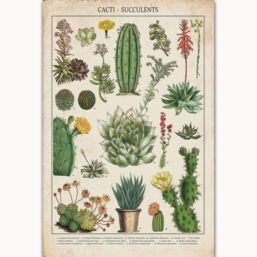Cacti & Succulents Poster Wrap - wickedafstore
