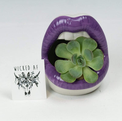 WickedAF Lips Ceramic Planter