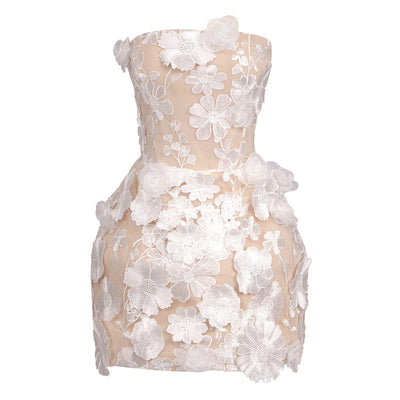 Ethereal Lace Mini Dress