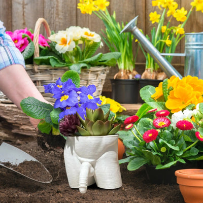 Boys in Bloom Planter