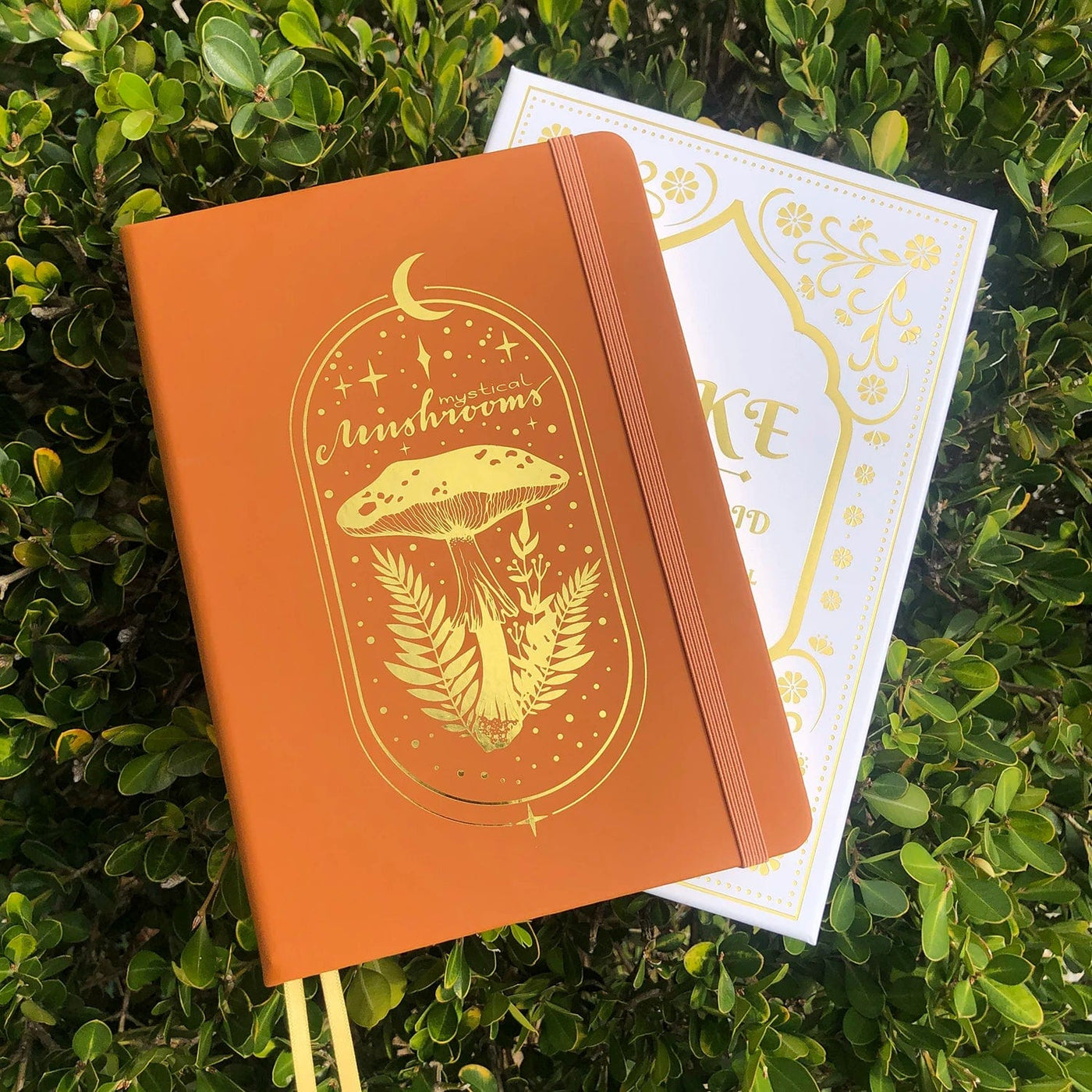 wickedafstore Brown Mystical Mushroom Journal