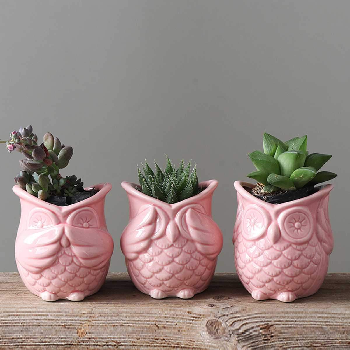 Peek-a-Boo Owl Pots