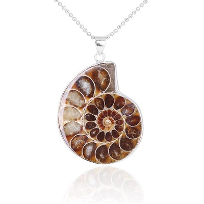 WickedAF Brown Natural Ammonite Snail Shell Necklace