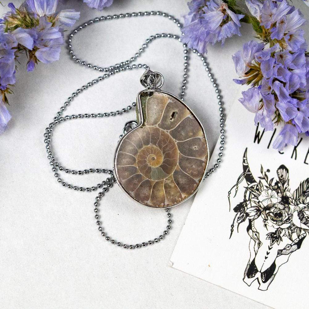 Ursula Necklace Sea Shell Necklace for Women Shell Charm Pendant Necklace  Conch Snail Shell Pendant Necklace Ocean Beach Necklaces Spiral Swirl Sea Snail  Necklace Jewelry for Women(Gold) : Amazon.ca: Clothing, Shoes &