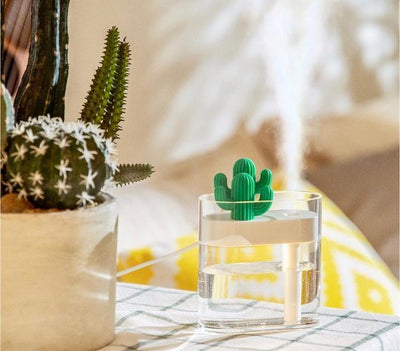 Cacti Mini Diffuser + Humidifier