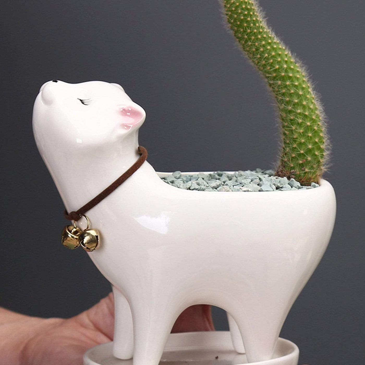 WickedAF Cute Cat Planter Pot