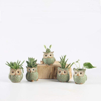 Owl Ceramic Flower Pot Set 5pcs - wickedafstore