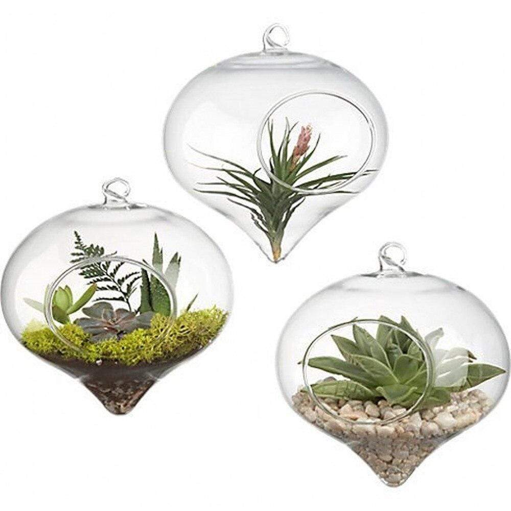 glass plant hanger Glass Hanging Terrarium