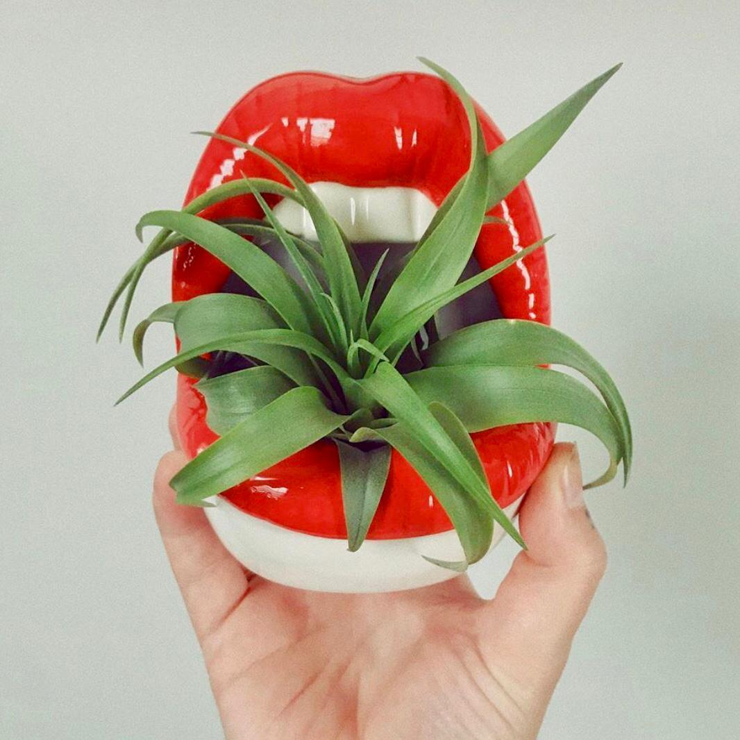 lips plant pot Lips Ceramic Planter