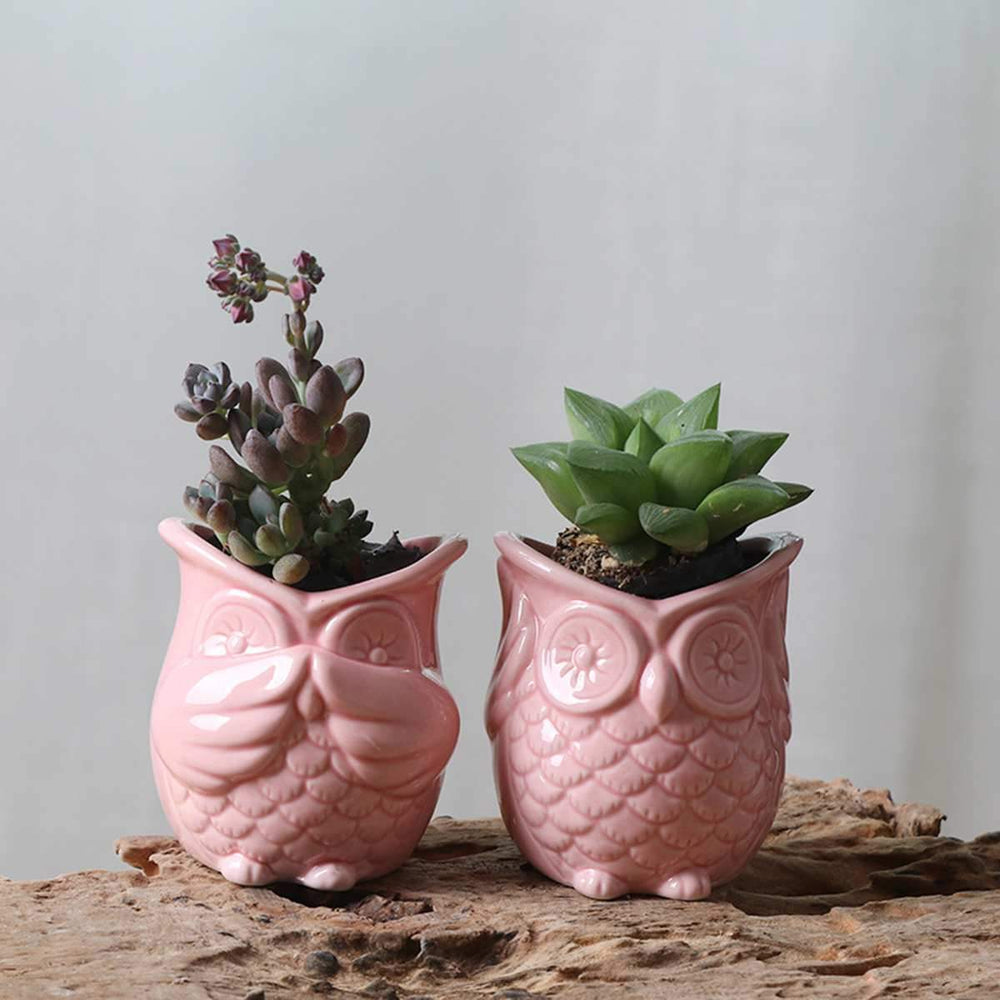 Planters & Vases - Wicked AF