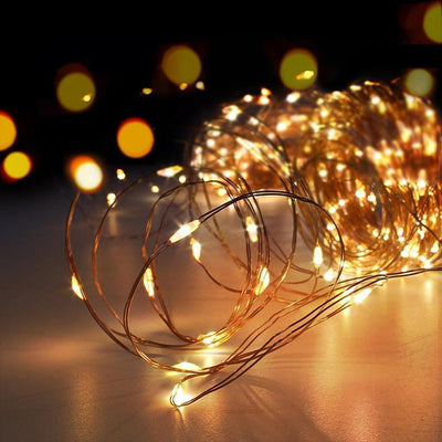 Photo Clip Fairy String Lights