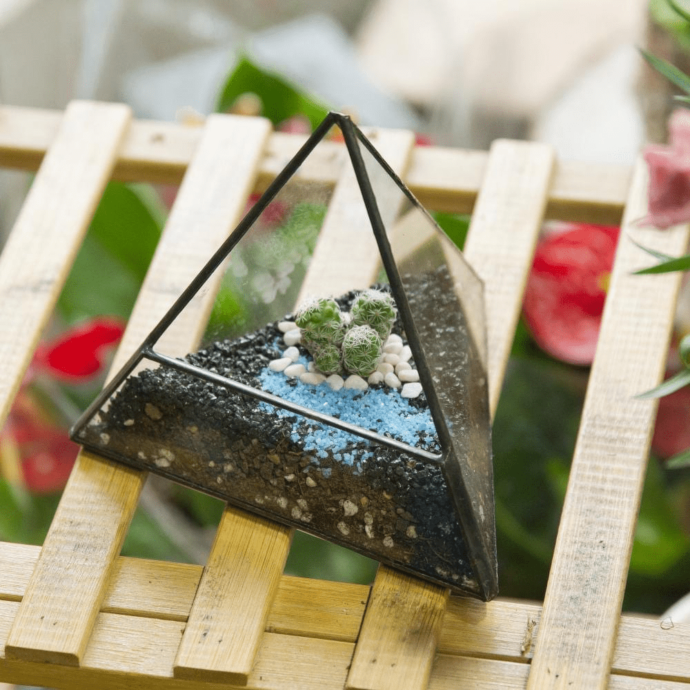 Glass Pyramid Plant Terrarium - wickedafstore