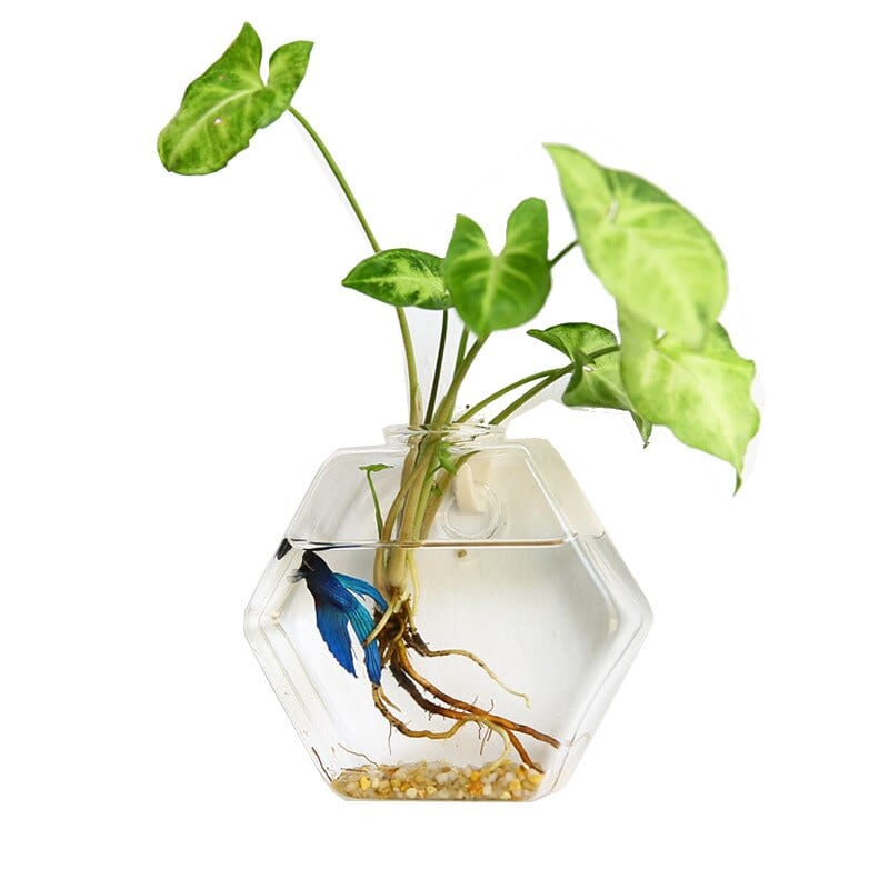 wickedafstore 0 Creative Wall Glass Vase Wall-mounted Fish Tank Hanging Hydroponic Vase Living Room Wall Decoration Terrarium Decor
