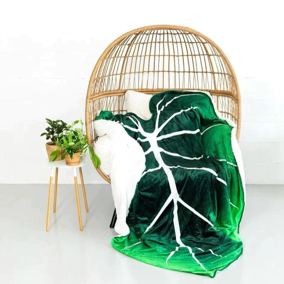 wickedafstore 0 Philodendron Gloriosum Giant Leaf Blanket