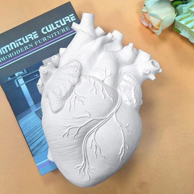 wickedafstore Anatomical Heart Vase