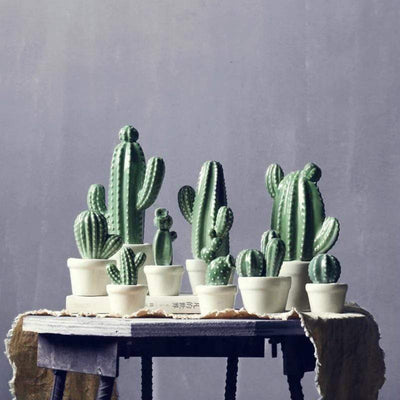 wickedafstore Cactus Pot Decor