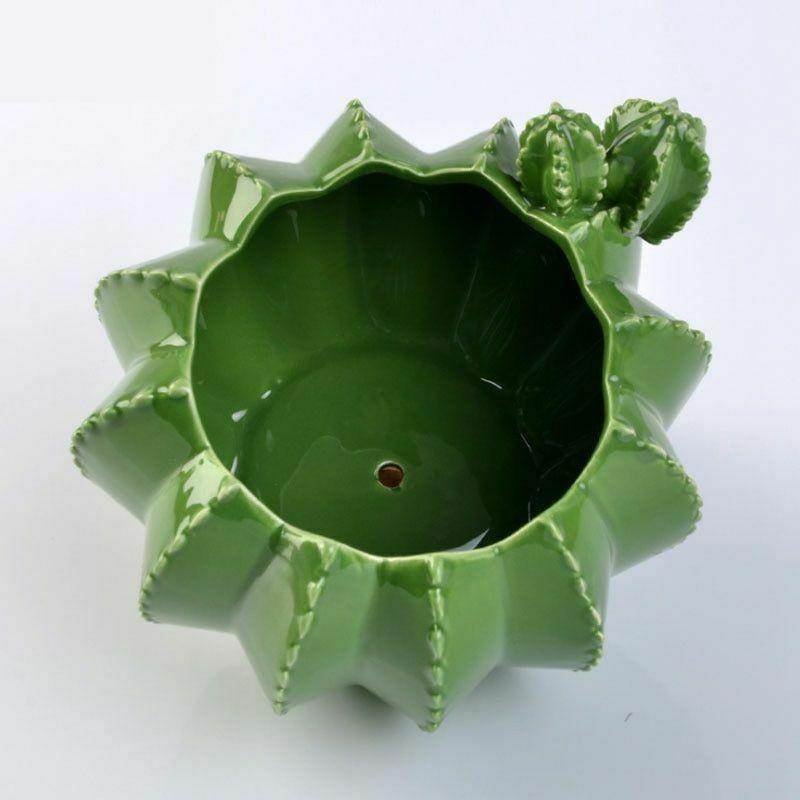 wickedafstore Ceramic Cactus Pots