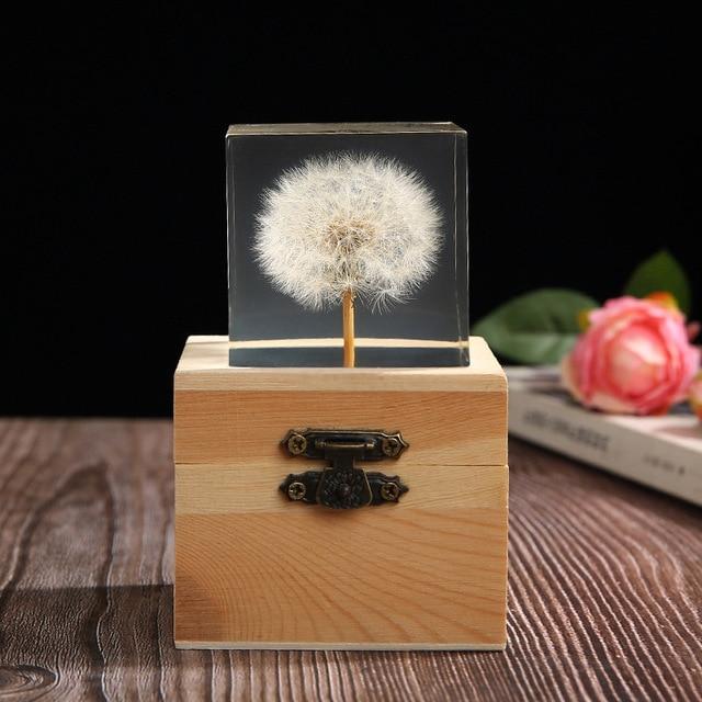 wickedafstore Dandelion with box Flowers Crystal Glass Decor