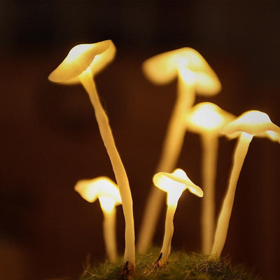 wickedafstore Enchanted Mushroom Forest Lamp