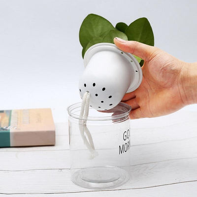 wickedafstore Hydroponic Lazy Self-Watering Flowerpot