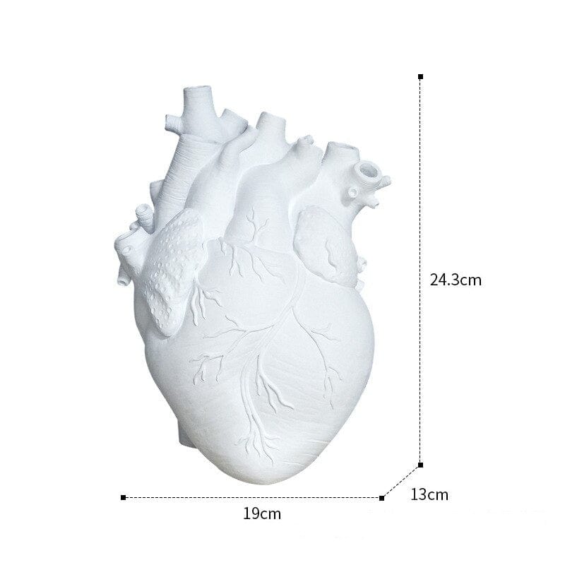 wickedafstore Large White Anatomical Heart Vase
