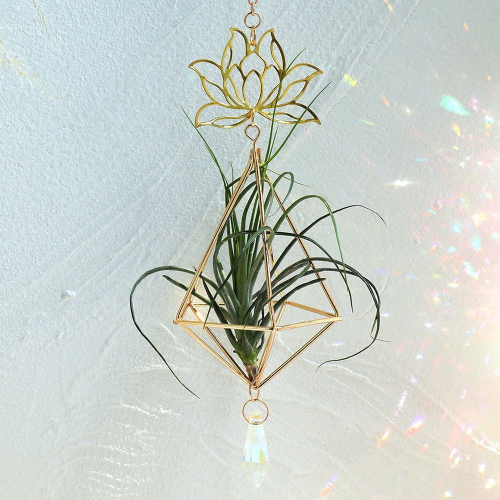 macrame plant hanger with crystals Lotus Plant Hanger Suncatcher