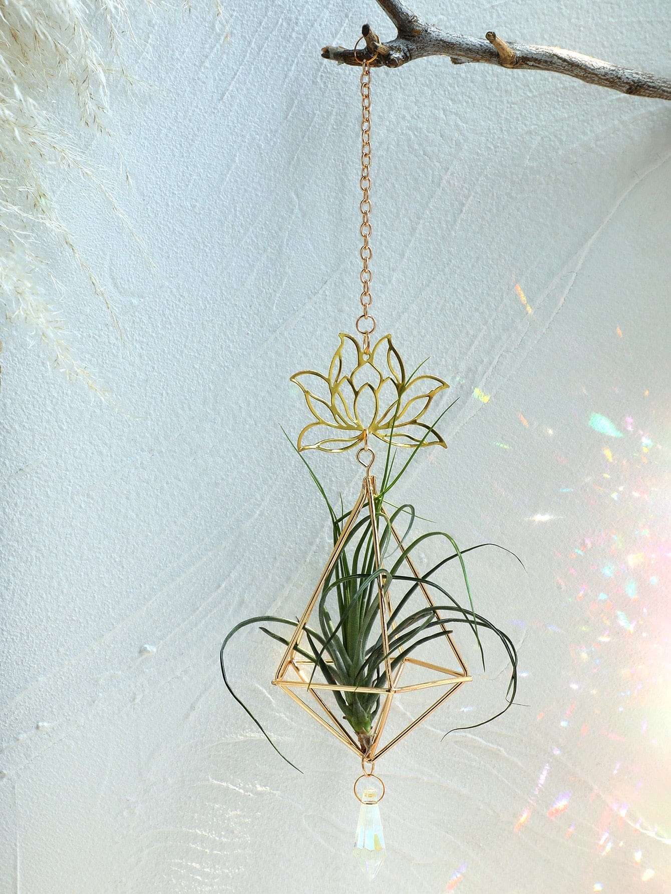 wickedafstore Lotus Air Plant Hanger With Crystal Stone Suncatcher