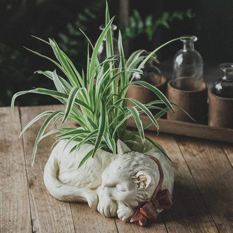 wickedafstore Sleeping Cat Flower Pot