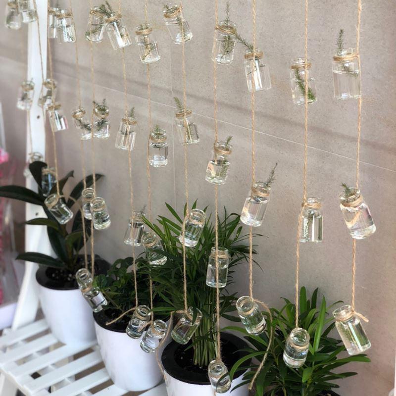 hanging plants in bottles String Hanging Propagation Bottles