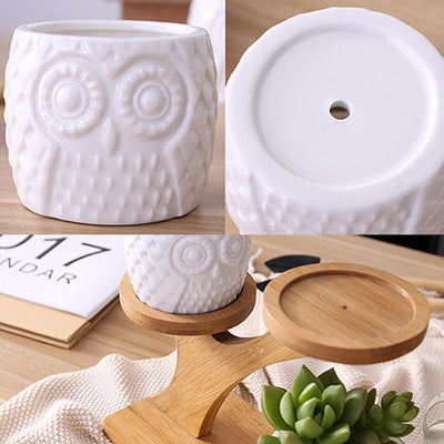 wickedafstore United States Owl Ceramic 3 tier Bamboo Set